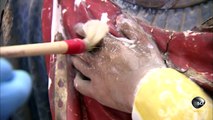 Statue Restoration | How Its Made
