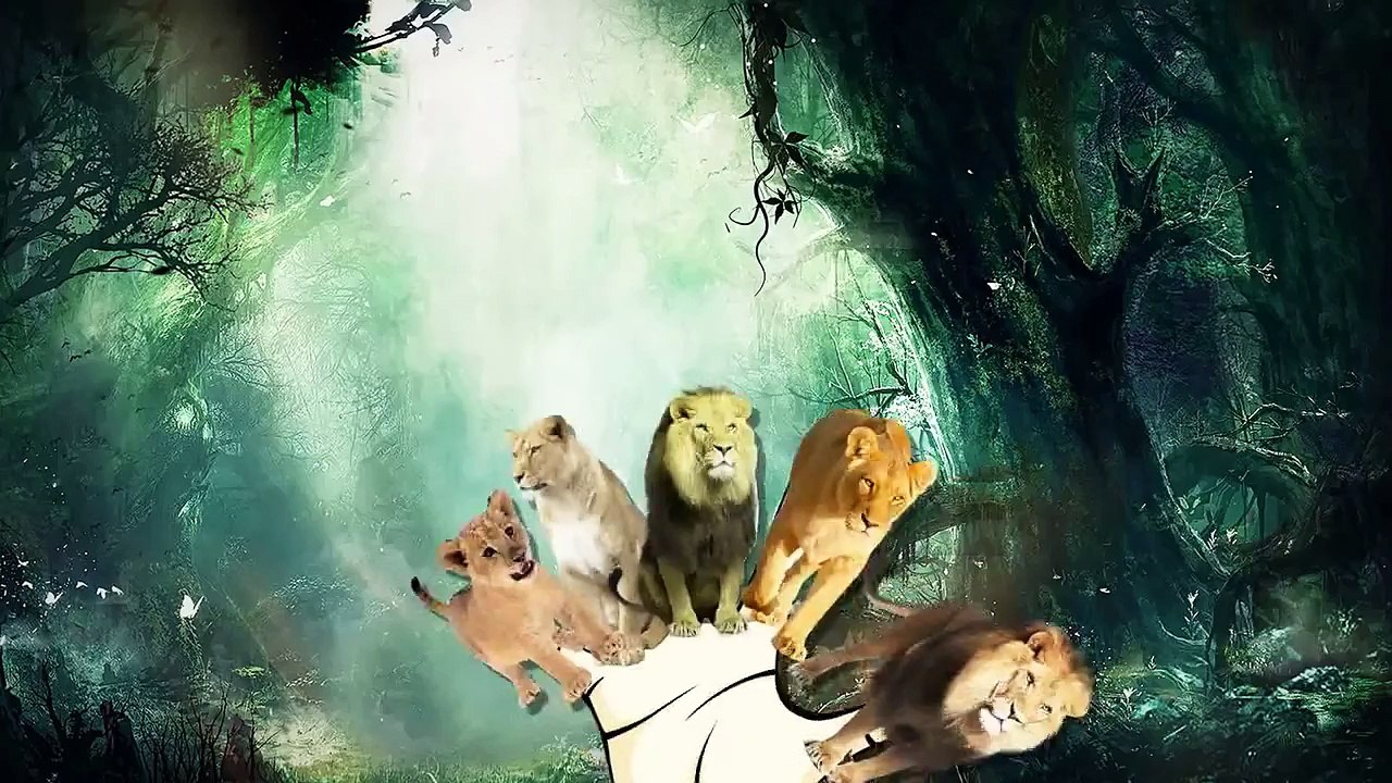Lion Cartoons For Children Finger Family Children Nursery Rhymes _ Lion Finger Family Rhymes
