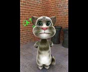 Dabangg Cat: The Fearless Feline 😺