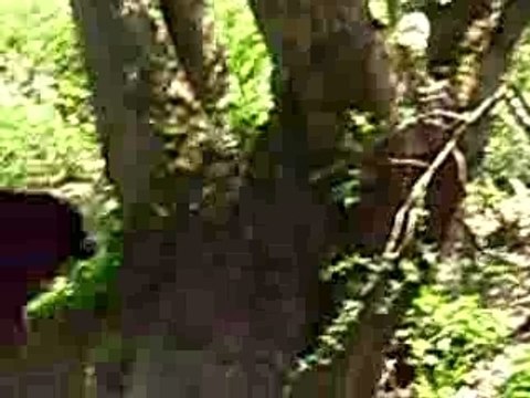 balade roro bik patou routs ..