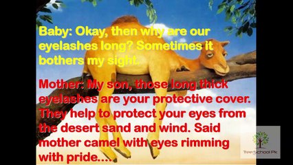 A Wise Camel Slides Story