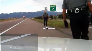 Hilarious Dashcam! Colorado Cops Frightened of Skunk Spray Rescue from Can