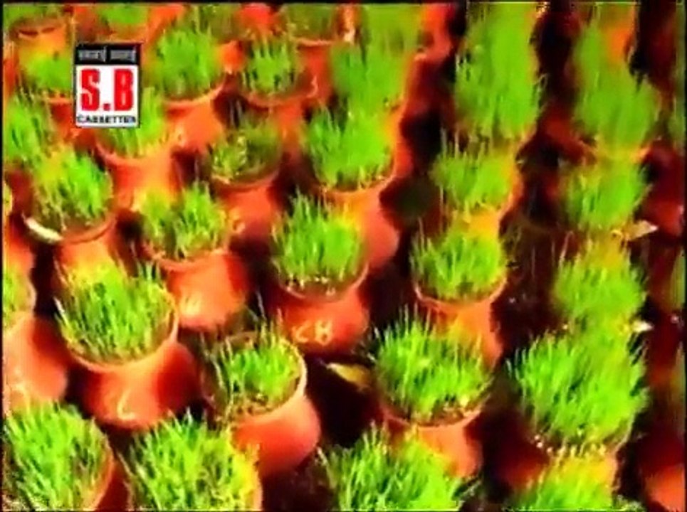 Jag Rache Mahamai New Superhit Chhattisgarhi Jasgeet New Jas Sewa Visarjan Geet Video Song