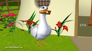 Five Little Ducks went out one day - 3D Animation English Nursery Rhymes for Children-yOVHOXO8PnM