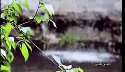 المغامسي ألم يعلم بأن الله يري -