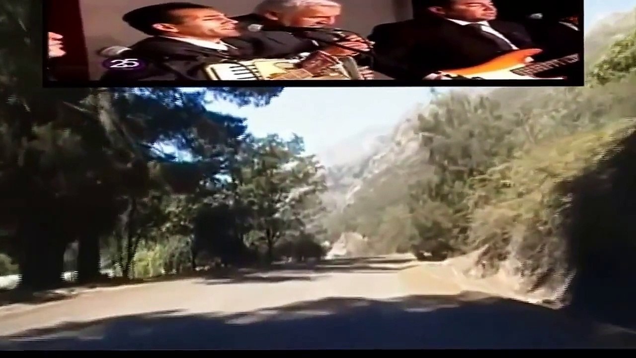HNOS ALCAINO en vivo ( HD ) LOS QUEÑES CURICO CHILE