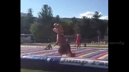 Приколы 2015 Смешное Видео Ржач