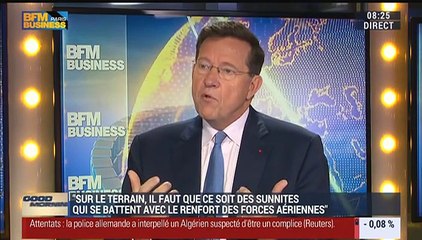 Comment combattre Daesh ? - 17/11