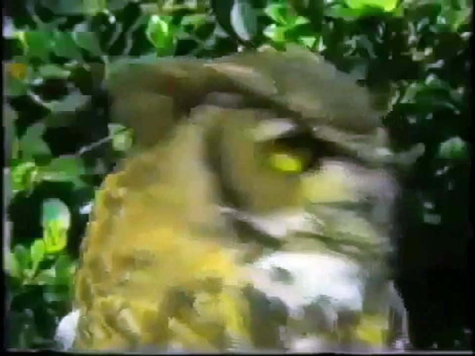 Paranormal Mysterious Events (Ecounters) EERIE APES, AMAZING SURVIVAL, WW2 SECRET TREASURE