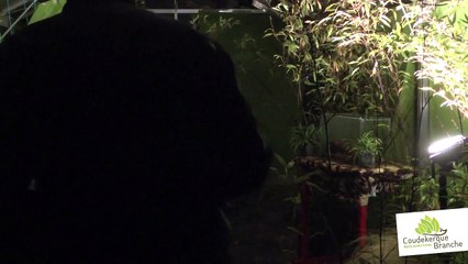 La chasse aux tresors Momies - les 6 & 7 novembre 2015