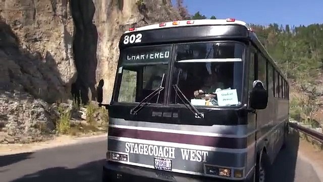 Bus fährt durch den Tunnel am Needles Highway.