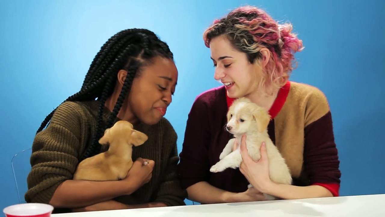 Drunk Girls Get Surprised With Puppies