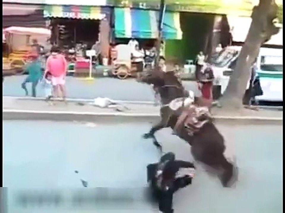 Horse riding is not an easy task-Funny compilation