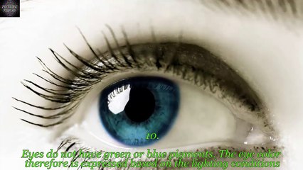 10 Amazing Eye Color Facts You Probably Didn’t Know