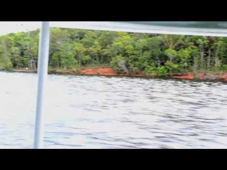 O extrativismo no Rio Negro, Amazonas