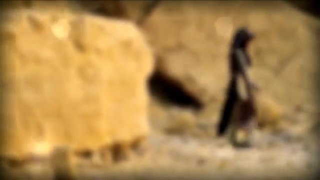 Aqsa Abdul Haq New Album Naat 2015 Qasida Burda Sharif-