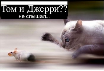 Том и Джерри | По русски | Только Лучшее | New Version