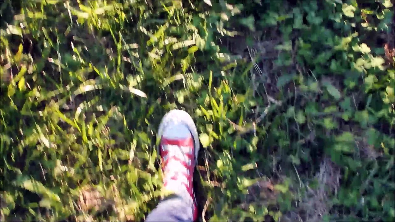 Wake up in the forest