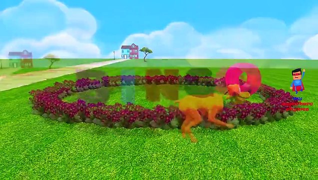 BINGO - Dog Song Children Nursery Rhyme | Kids Animation Rhymes For Children