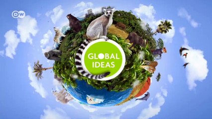 Wölfe, die Schafe essen, brauchen auch Schutz | Wissen & Umwelt