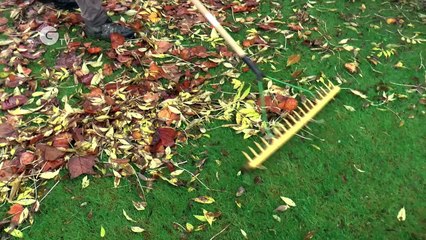 National Trust Gardening Tips: Winter Mowing