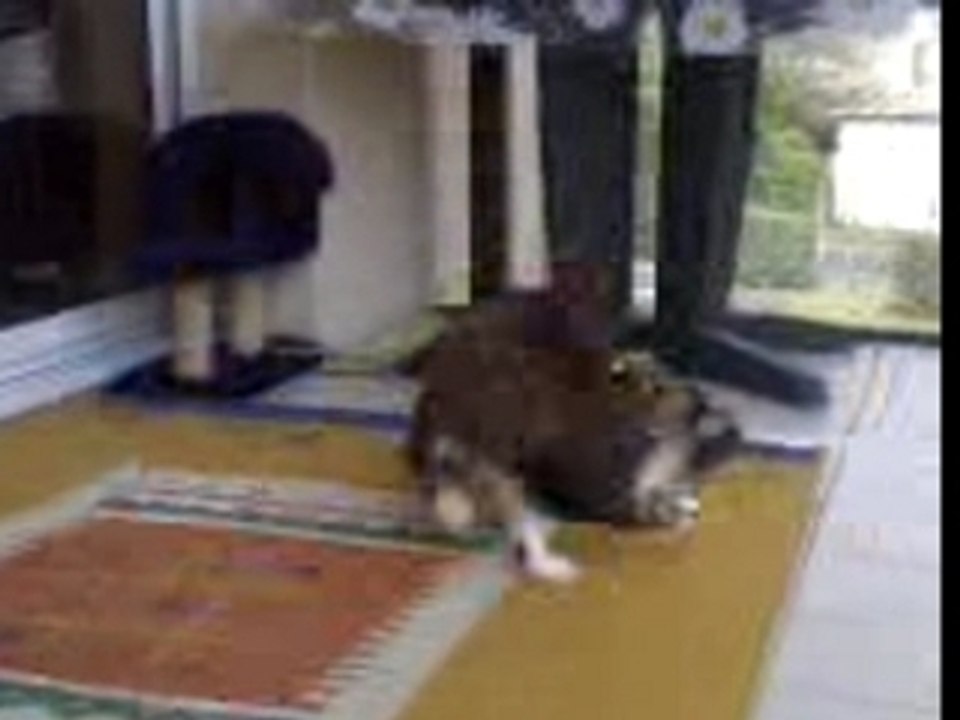 ma tite fille d amour