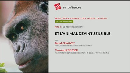 Et l'animal devint sensible