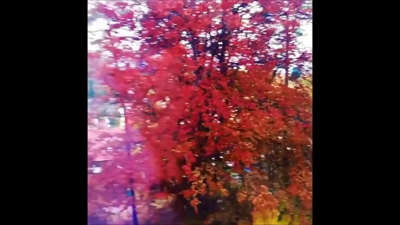 JELLY DEVOTE - Fitness Model: Routine Sportive, Exercises and Workouts @ Sweden