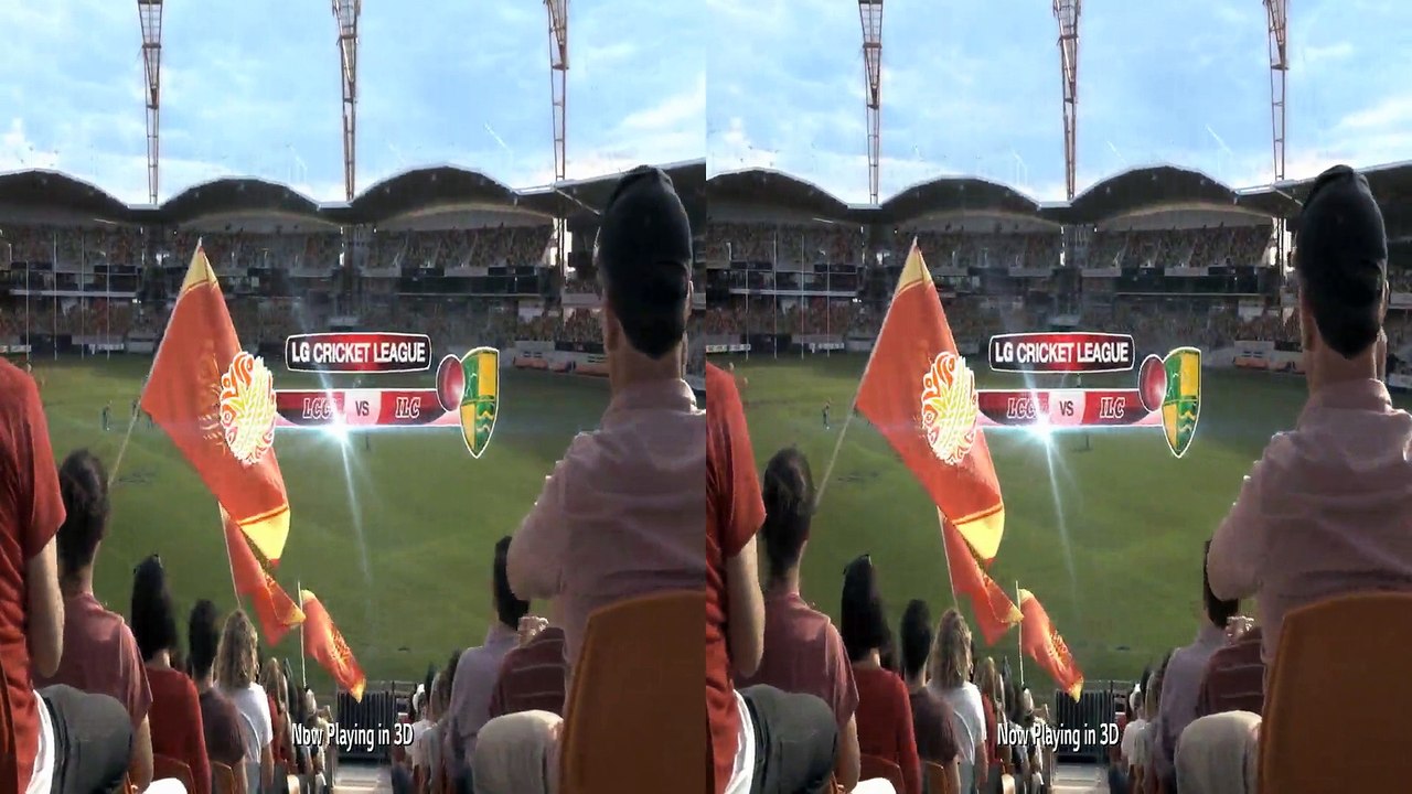 3D LG- cricket