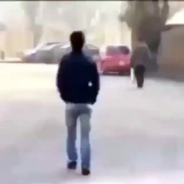 funny video clip