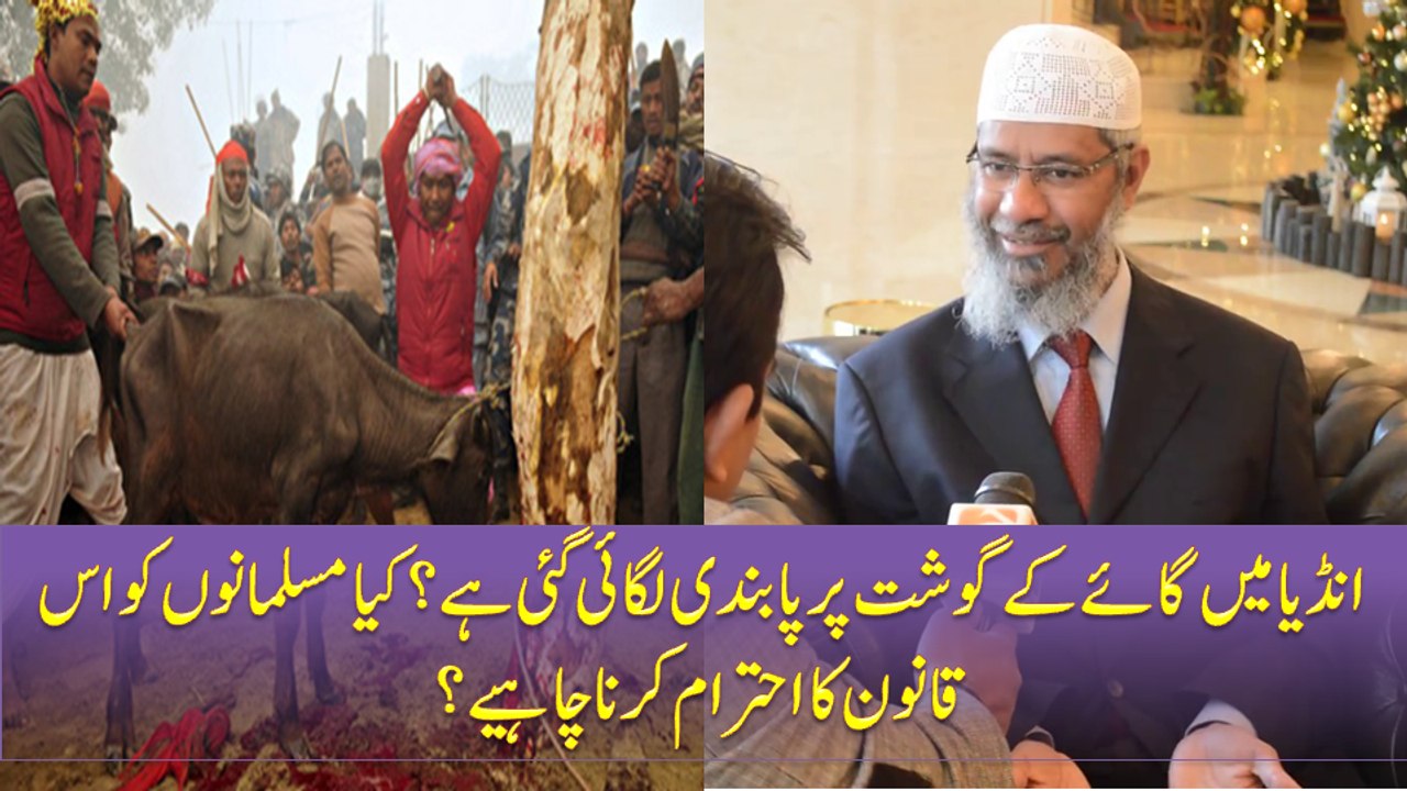 India Mein Gaaye ke Gosht Par Pabandi Lagai Gai Hai ? Kya Muslamano Ko Is Qanoon Ka Ahtaram Karna Chahye ? By Dr Zakir Naik In Japan