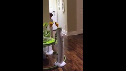 Toddler appears to swear repeatedly