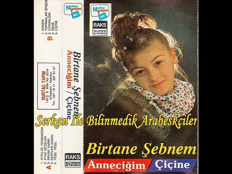 Birtane Şebnem - Ayaz Geceler