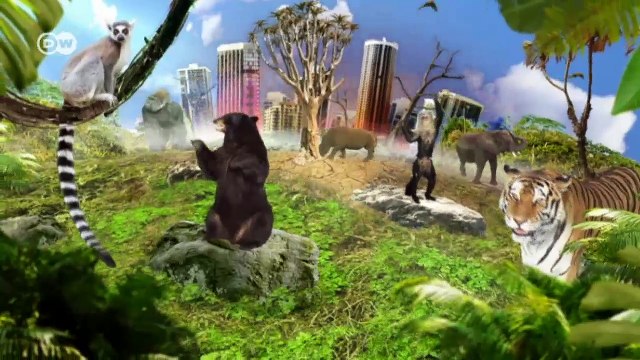 Sobrevivir en el Cáucaso, con osos y lobos | Global 3000