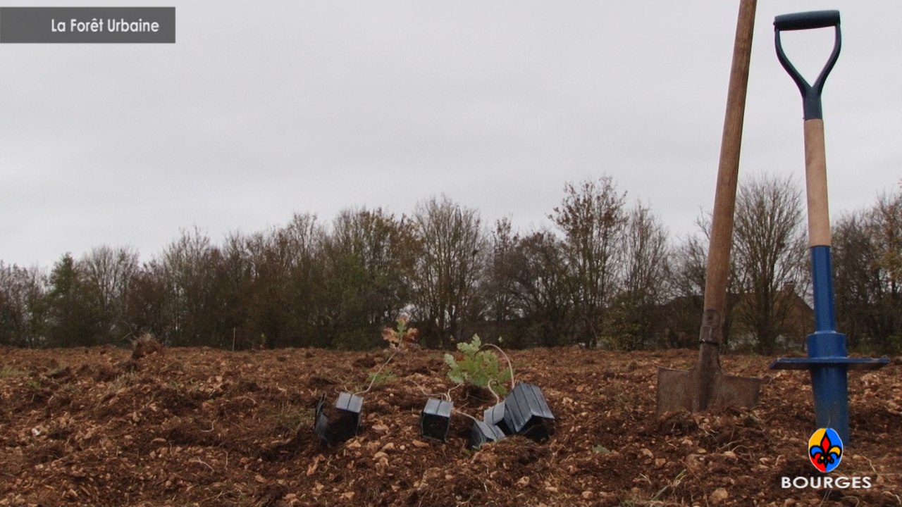 La Forêt Urbaine