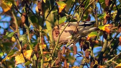 Des rencontres inattendues