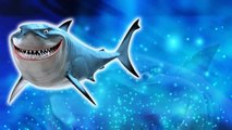 Sharks Cartoons Finger Family Children Nursery Rhymes _ Sharks Finger Family Nursery Rhymes