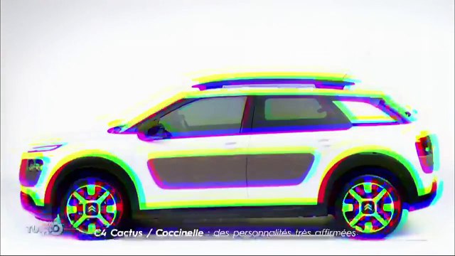 Comparatif : Citroën C4 Cactus vs. Volkswagen Coccinelle (Emission Turbo du 15/11/2015)