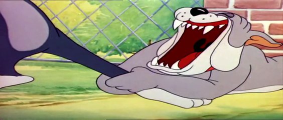 TOM and JERRY - cartoon violence part 4