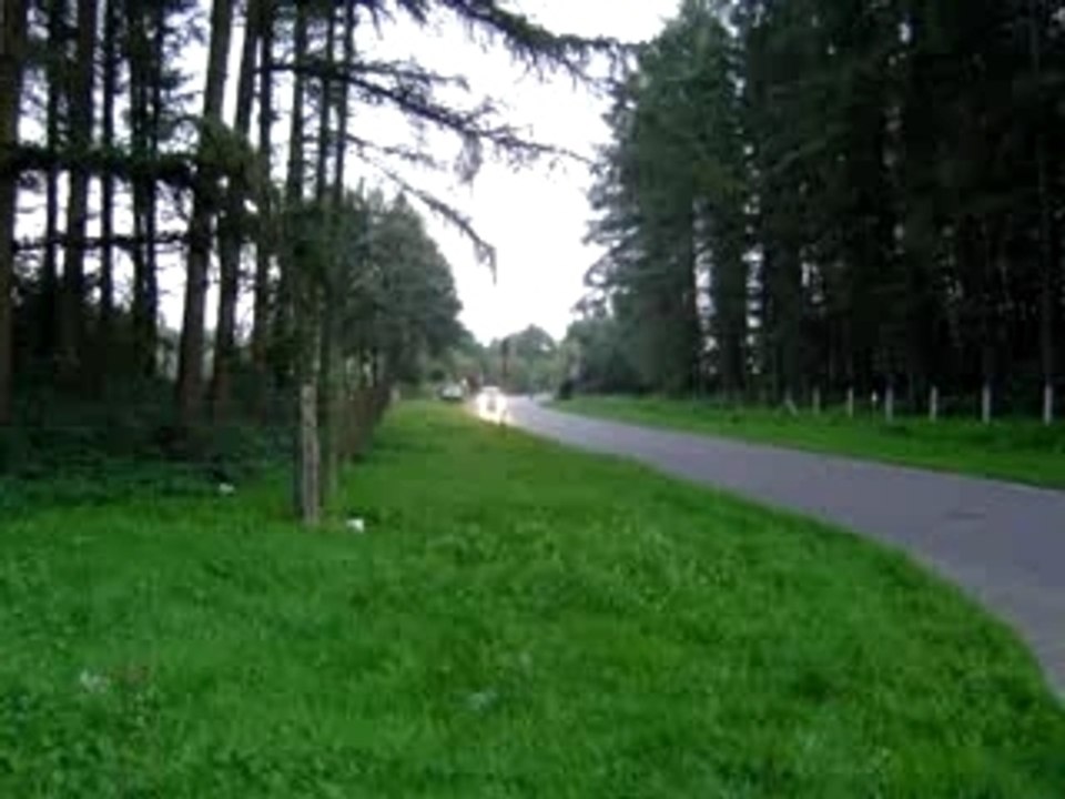 Seat Ibiza Fr TDI 130 Cv