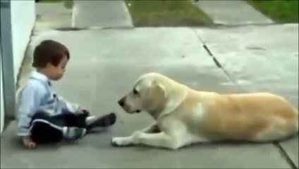 Big dog Care with Baby