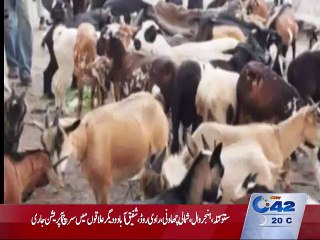 District Livestock Department will provide cattle's to widows