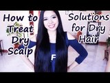 How to Treat Dry Itchy Scalp, Dry Hair and Dandruff -Beautyklove