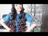 HairTalk series 6: How to Prevent Split Ends