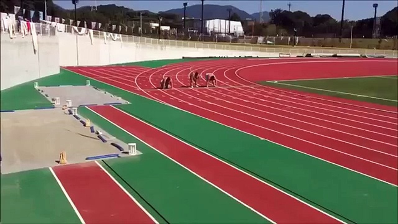 Тяжёлый спринт. сумоисты соревнуются в скорости