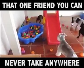 That one friend you can never take anywhere