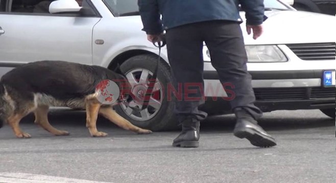 Rritet siguria në kufi, në Muriqan kontrollet bëhen edhe me qen kufiri- Ora News- Lajmi i fundit-