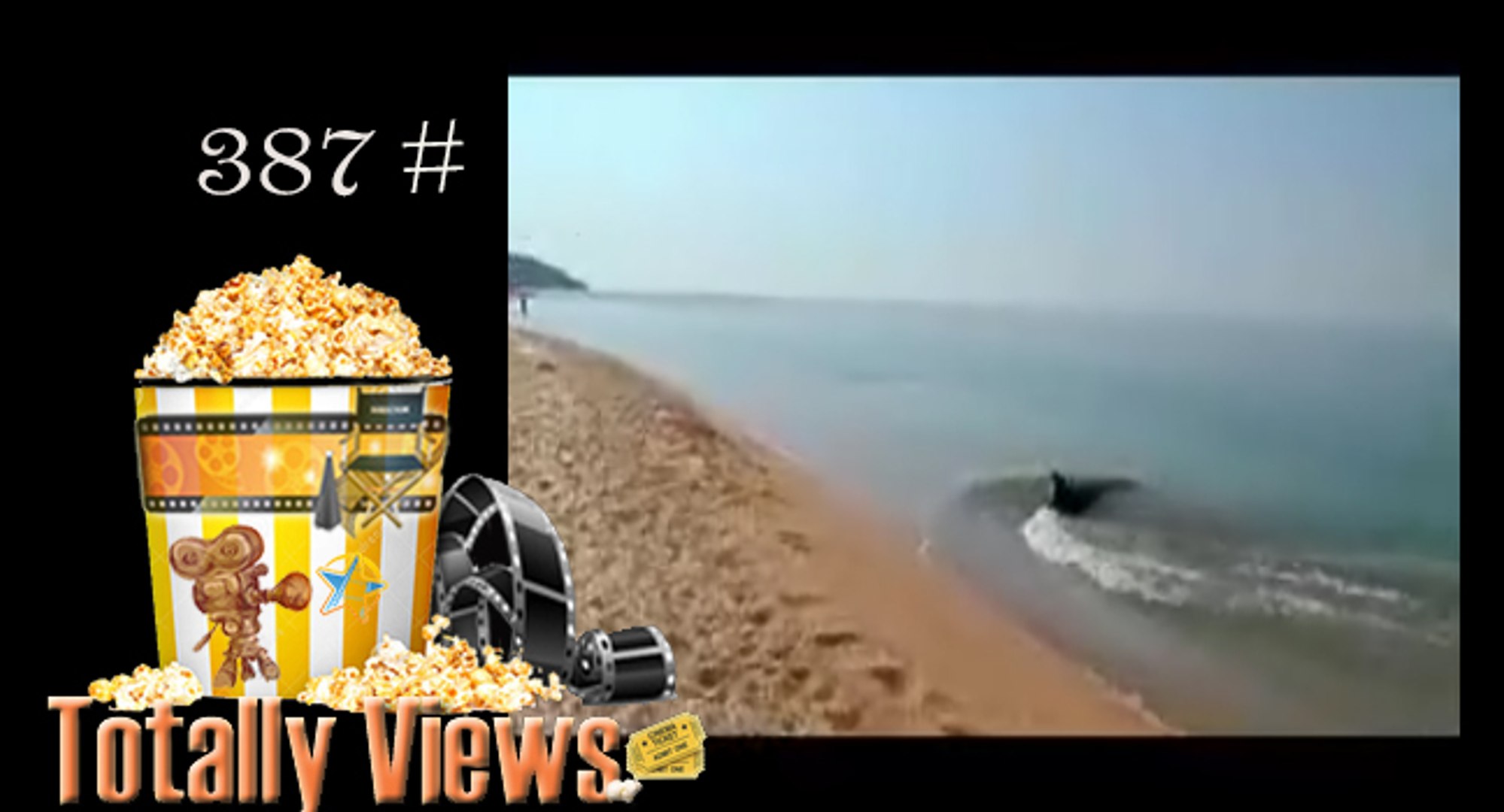 Dolphin fishing