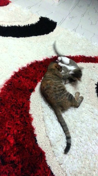 Mother and son