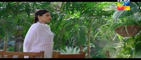 Ek Thi Misaal Episode 20 Full HUM TV Drama 17 Nov 2015